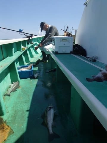 第二むつ漁丸 釣果