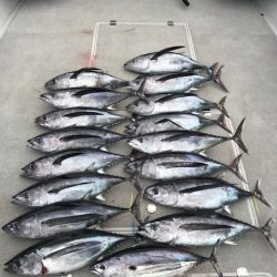 へいみつ丸 釣果