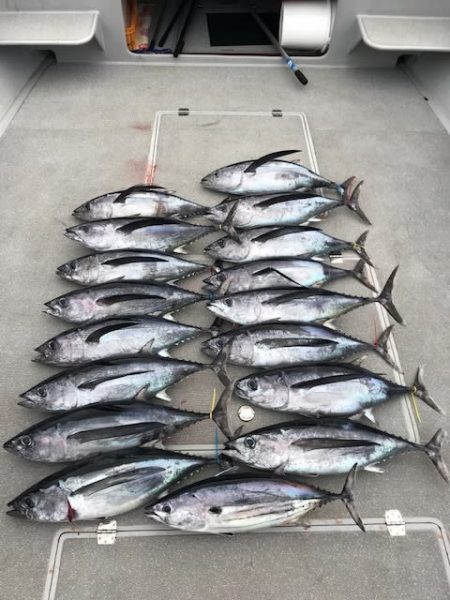 へいみつ丸 釣果