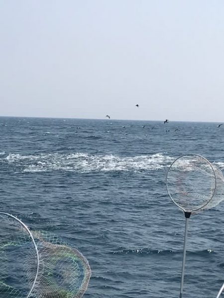 へいみつ丸 釣果