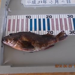 姫路市立遊魚センター 釣果