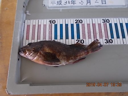 姫路市立遊魚センター 釣果