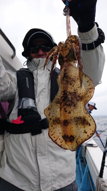 海晴丸 釣果