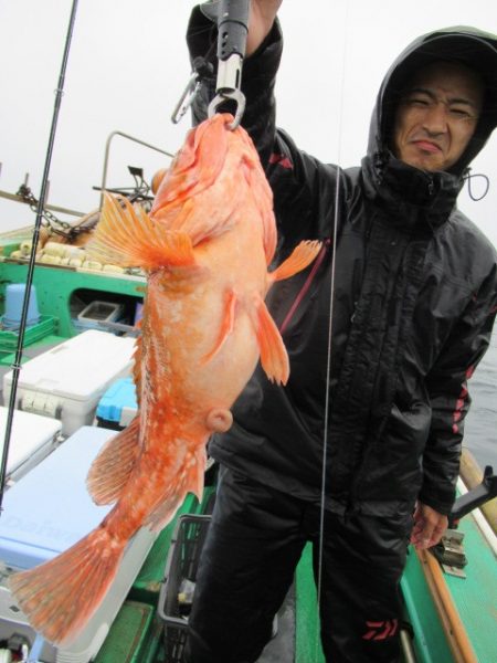 真祐丸 (しんゆうまる) 釣果