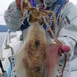 海晴丸 釣果