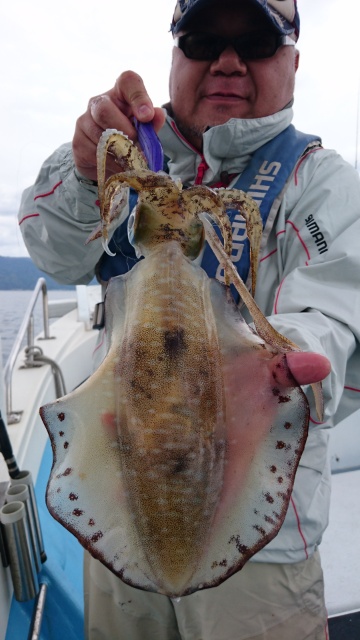 海晴丸 釣果