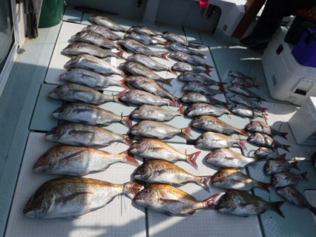 遊漁船 幸友丸 釣果