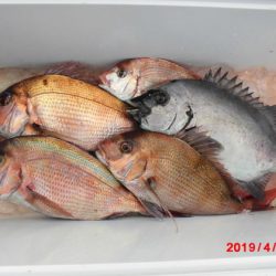 大進丸(新潟) 釣果