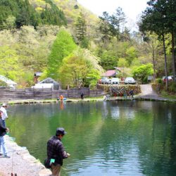 小菅トラウトガーデン 釣果