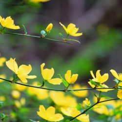 小菅トラウトガーデン 釣果