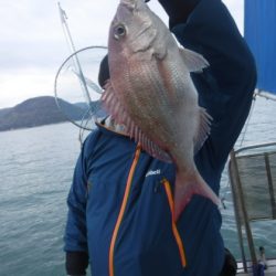 遊漁船 幸友丸 釣果