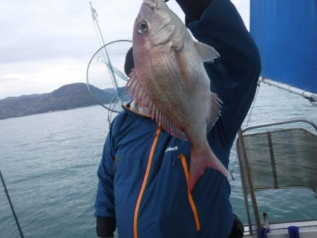 遊漁船 幸友丸 釣果