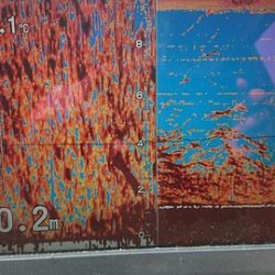 スカイマリン 釣果