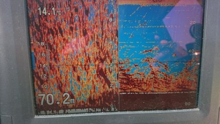 スカイマリン 釣果