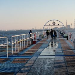 オリジナルメーカー海づり公園(市原市海づり施設) 釣果