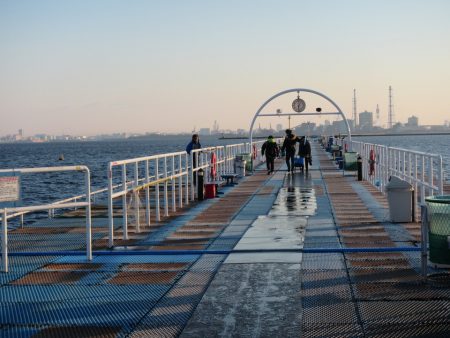 オリジナルメーカー海づり公園(市原市海づり施設) 釣果