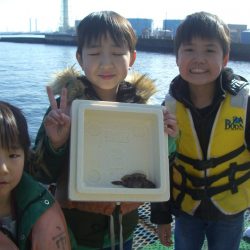 オリジナルメーカー海づり公園(市原市海づり施設) 釣果