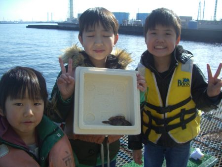 オリジナルメーカー海づり公園(市原市海づり施設) 釣果