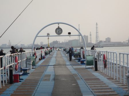 オリジナルメーカー海づり公園(市原市海づり施設) 釣果