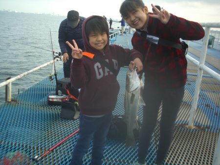 オリジナルメーカー海づり公園(市原市海づり施設) 釣果