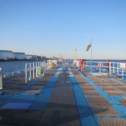 オリジナルメーカー海づり公園(市原市海づり施設) 釣果