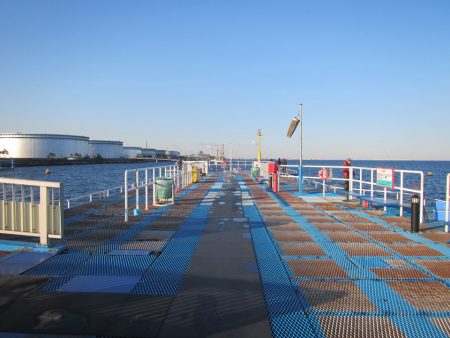 オリジナルメーカー海づり公園(市原市海づり施設) 釣果