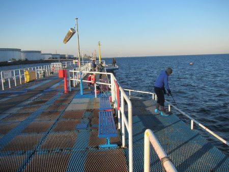 オリジナルメーカー海づり公園(市原市海づり施設) 釣果