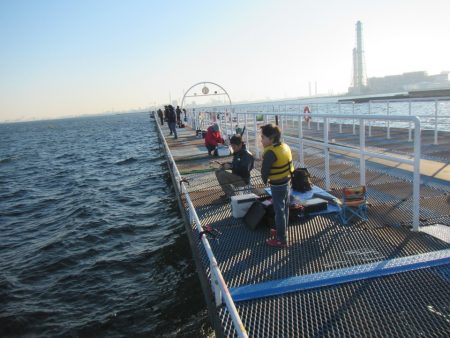 オリジナルメーカー海づり公園(市原市海づり施設) 釣果