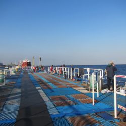 オリジナルメーカー海づり公園(市原市海づり施設) 釣果