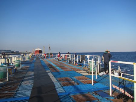 オリジナルメーカー海づり公園(市原市海づり施設) 釣果