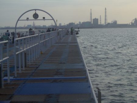 オリジナルメーカー海づり公園(市原市海づり施設) 釣果