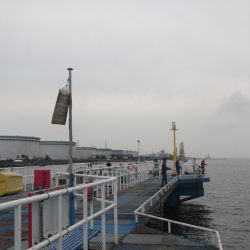 オリジナルメーカー海づり公園(市原市海づり施設) 釣果