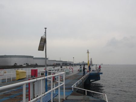 オリジナルメーカー海づり公園(市原市海づり施設) 釣果