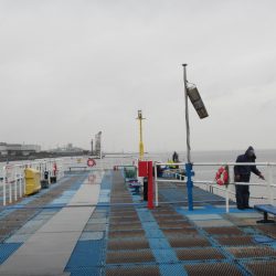 オリジナルメーカー海づり公園(市原市海づり施設) 釣果