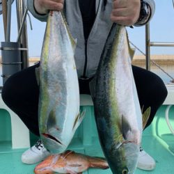 さんさん丸 釣果