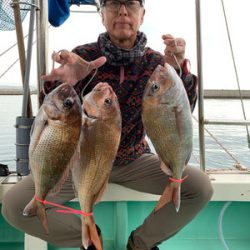 さんさん丸 釣果