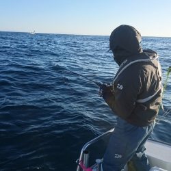 遊漁船ブルーウッズ 釣果