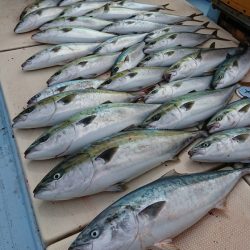 宝生丸 釣果