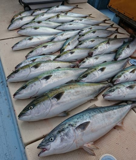 宝生丸 釣果