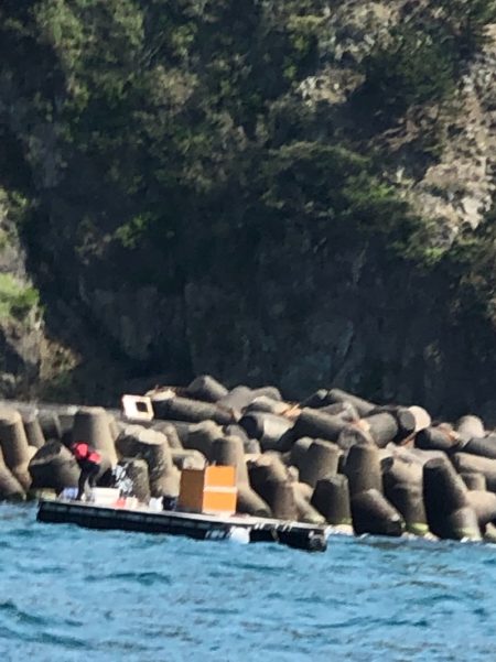 あみや渡船 釣果