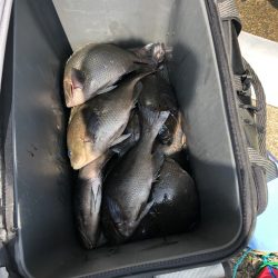 あみや渡船 釣果