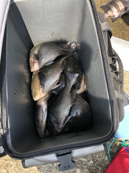 あみや渡船 釣果