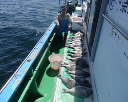 久里浜黒川本家 釣果