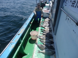 久里浜黒川本家 釣果