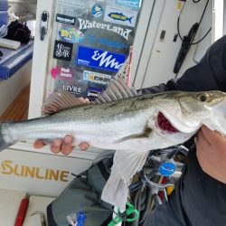 遊漁船 ニライカナイ 釣果