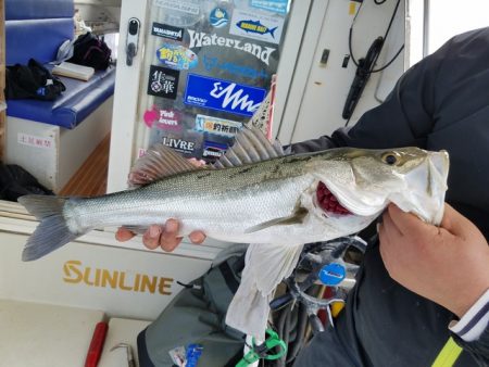 遊漁船 ニライカナイ 釣果
