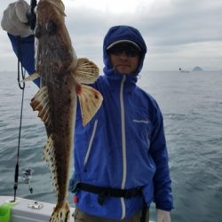 遊漁船 ニライカナイ 釣果