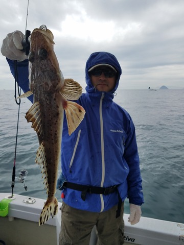 遊漁船 ニライカナイ 釣果