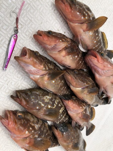 Magic(マジック) 釣果