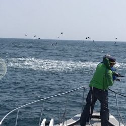 へいみつ丸 釣果